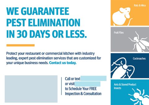 Industrial Pest Elimination