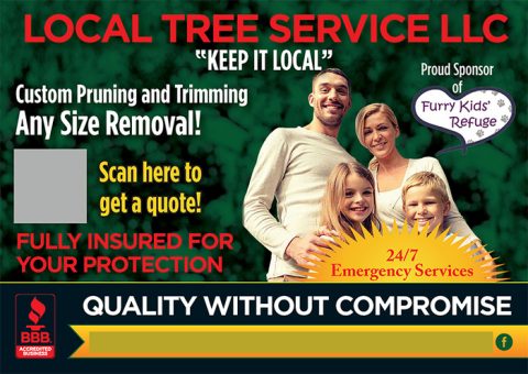 Dave Quigg’s Local Tree Service LLC