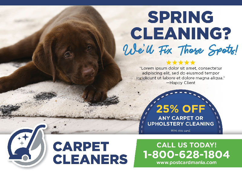 Carpet Steam Cleaner Marketing Strategy