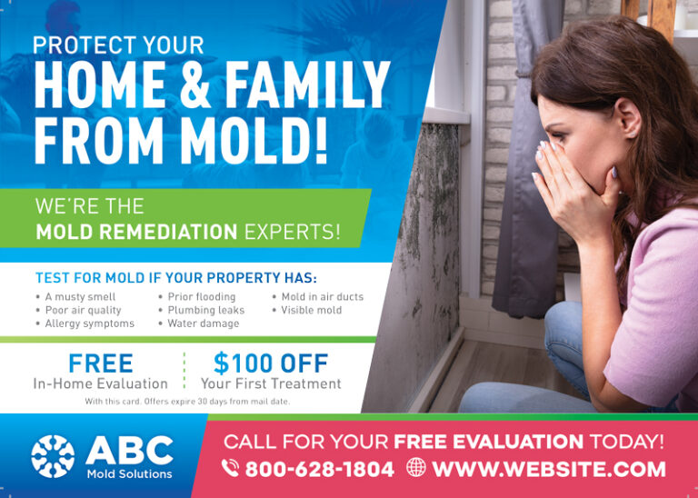 Mold Remediation Marketing