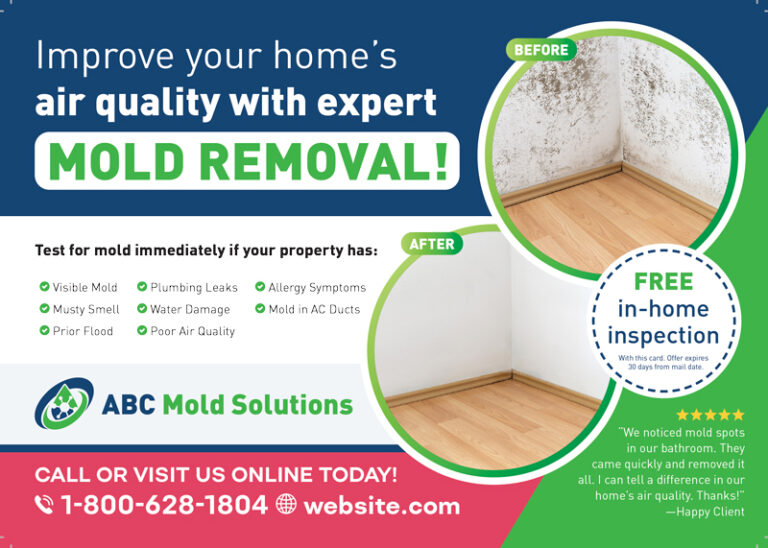 Mold Removal Postcard