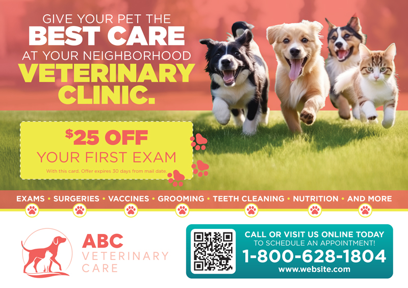 Neighborhood Animal Hospital Promotional Mailer Example