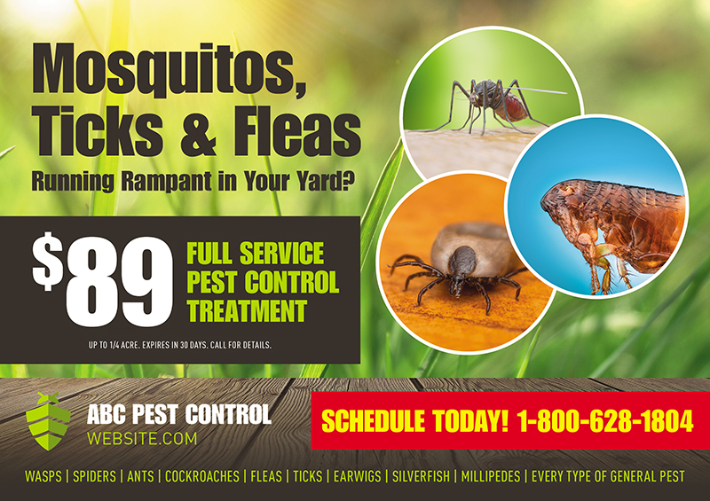 16 Brilliant Pest Control Direct Mail Postcard Advertising Examples