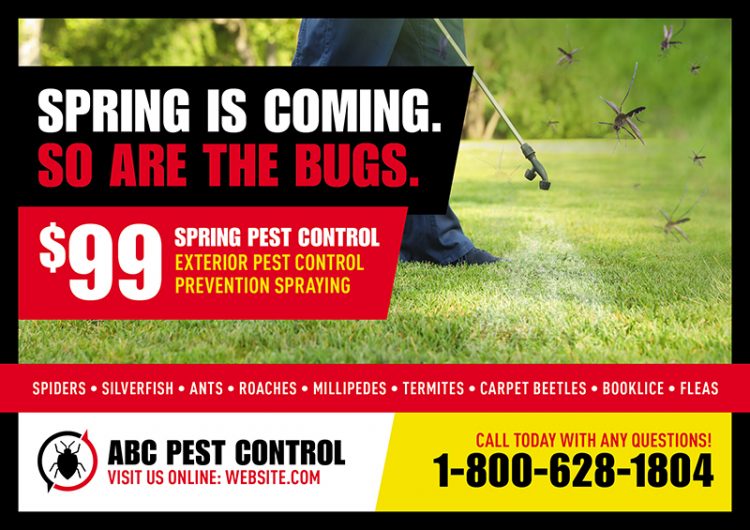16 Brilliant Pest Control Direct Mail Postcard Advertising Examples