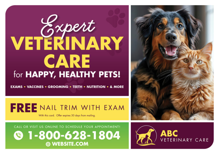 Veterinarian Postcard Design