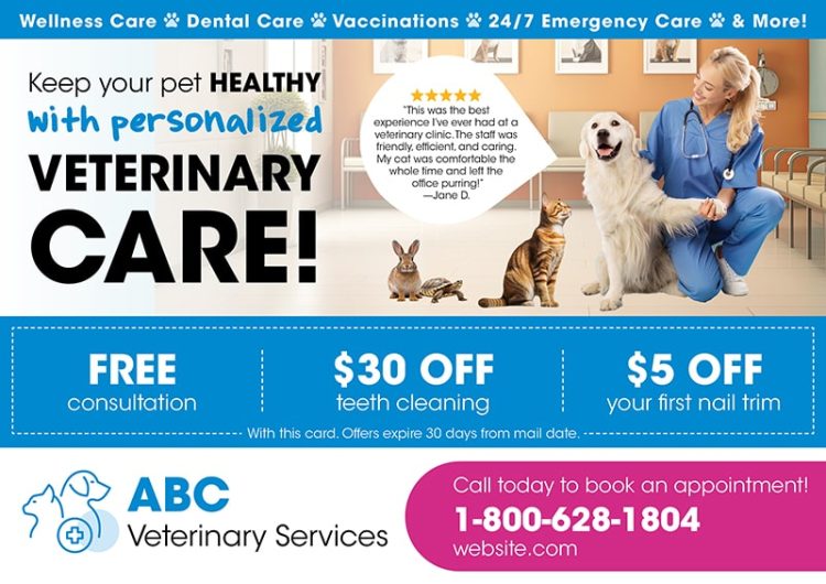 effective vet postcard design