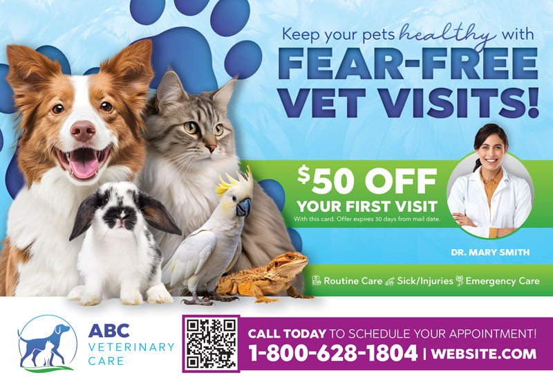 Veterinarian Practice Marketing Postcard Sample