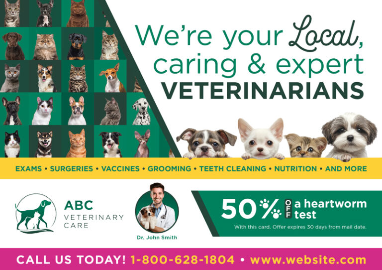 Veterinary Clinic Advertising Post Card