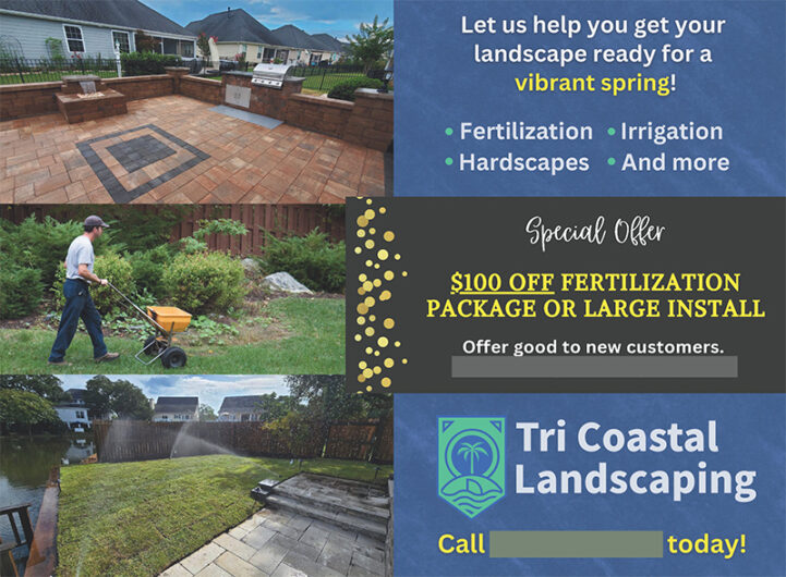Mailer Design