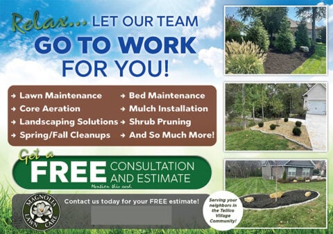 Magnolia Lawn Care