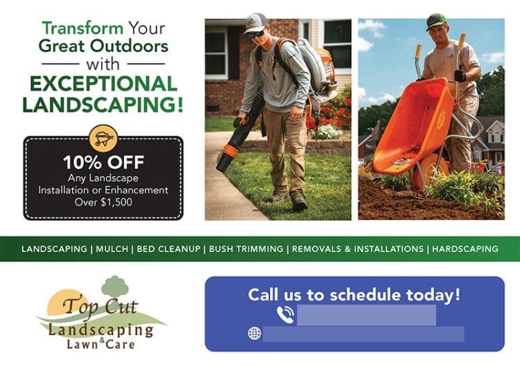 Mailer Design