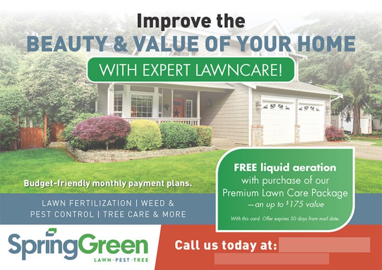 Mailer Design