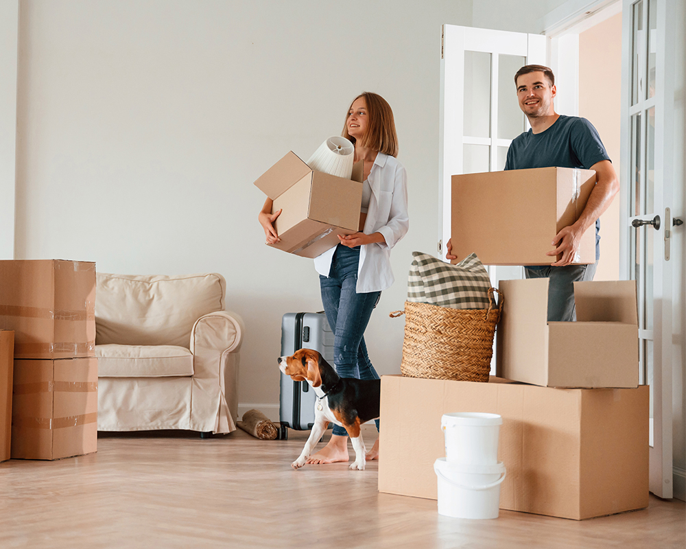 new mover lists