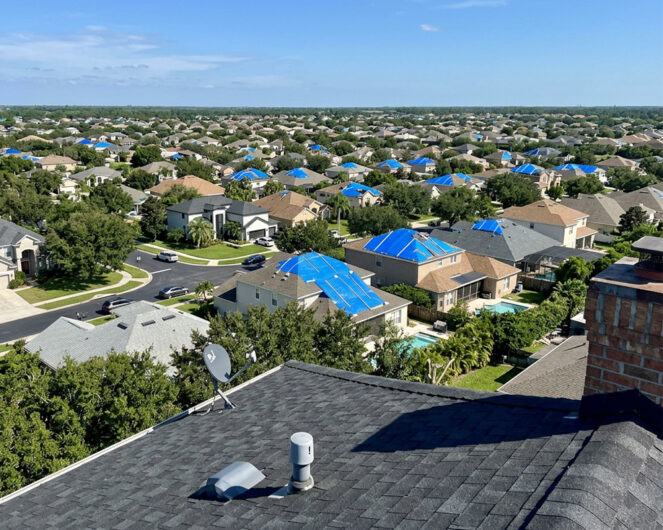 Rooftop view of a neighborhood with blue tarps covering storm-damaged roofs